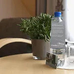 Traube Am 4* Friedrichshafen