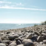 Traube Am Friedrichshafen