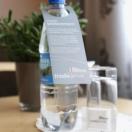 Hotell Traube Am