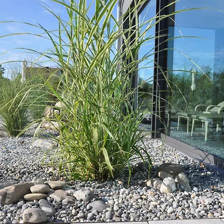 Traube Am 4* فريدريشسهافن