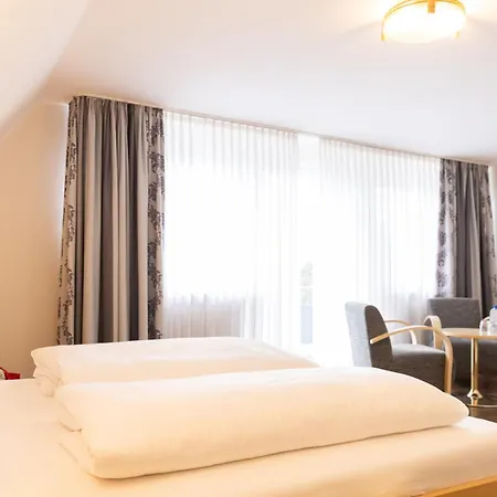 Hotel Traube Am