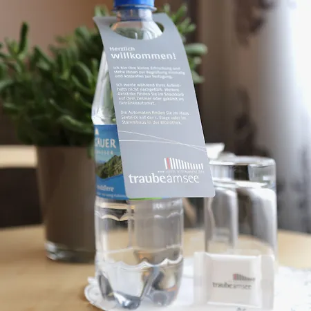 Hotell Traube Am Friedrichshafen