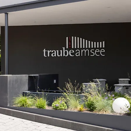 Traube Am Hotel 4*