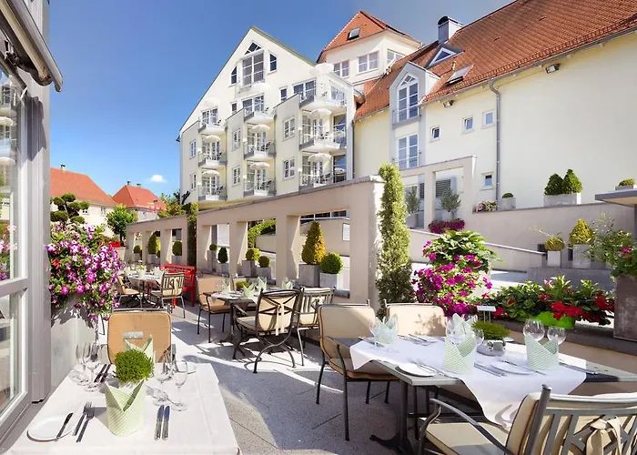 Traube Am Hotel Friedrichshafen