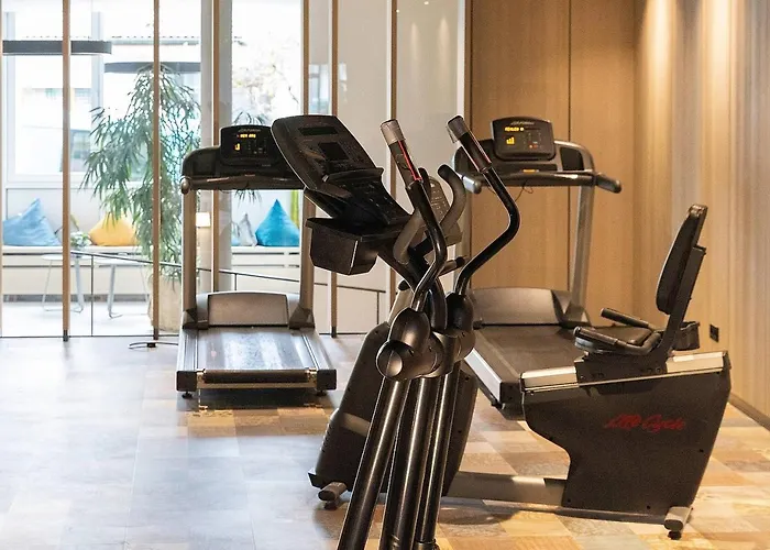 Traube Am Hotel Friedrichshafen