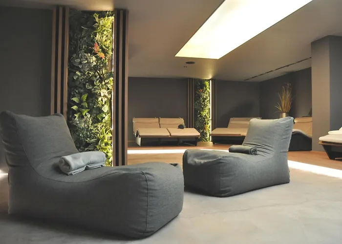 Traube Am Hotel Friedrichshafen