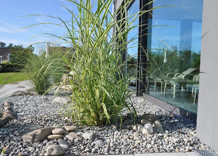 トラウベ アム ゼー 4* フリードリヒスハーフェン