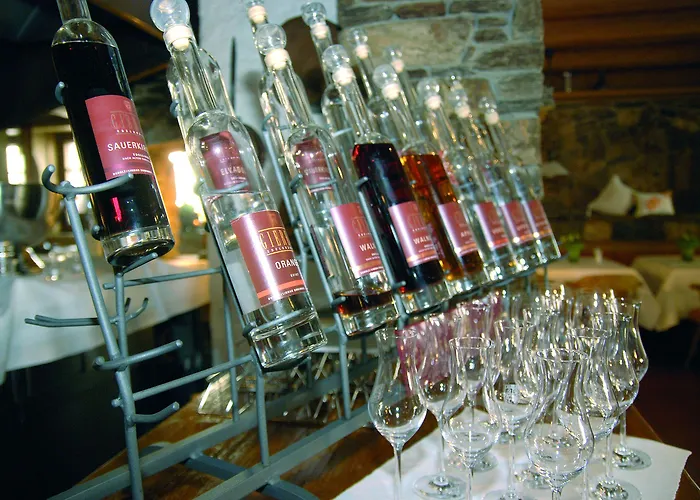 ホテル トラウベ アム ゼー