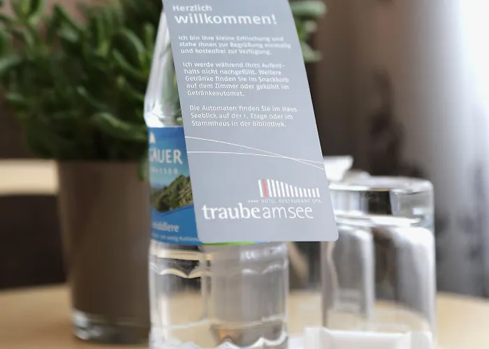 Hotel Traube Am Friedrichshafen