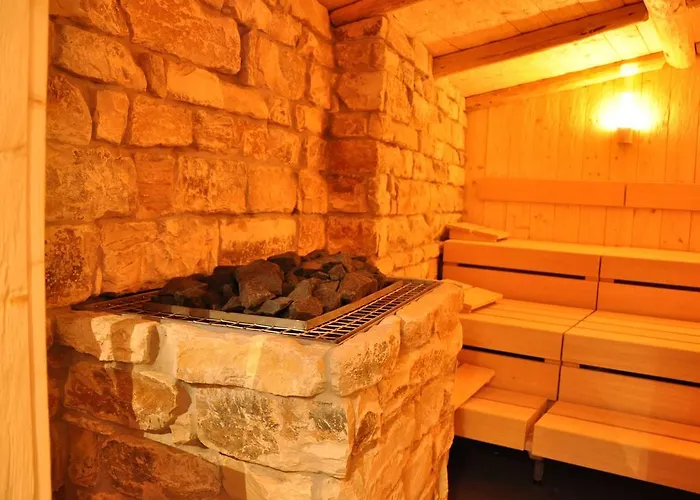 特劳布艾西酒店 4*