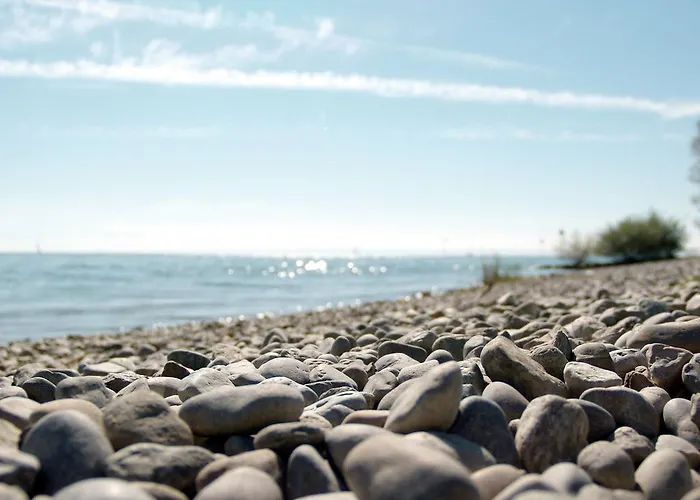 Traube Am Friedrichshafen
